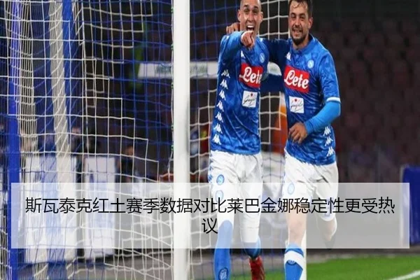 斯瓦泰克红土赛季数据对比莱巴金娜稳定性更受热议（Jiuyou）